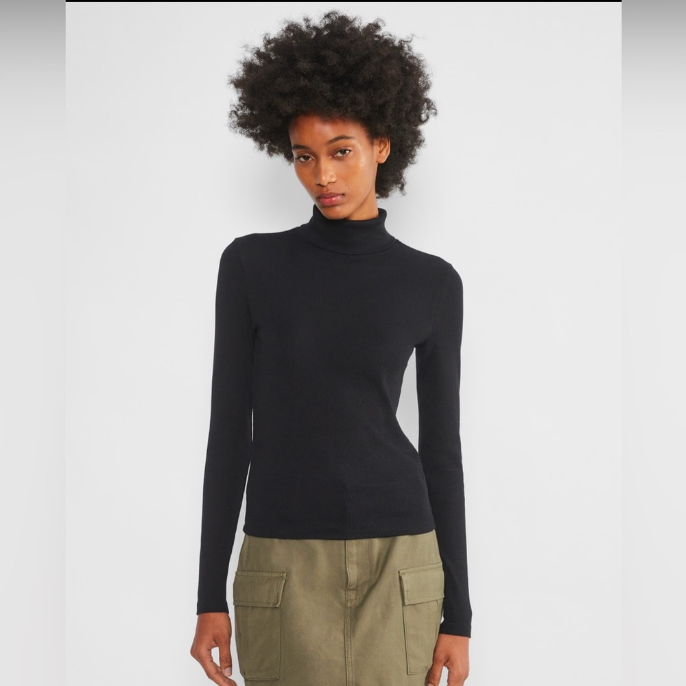 Aritzia- Ribbed Turtleneck